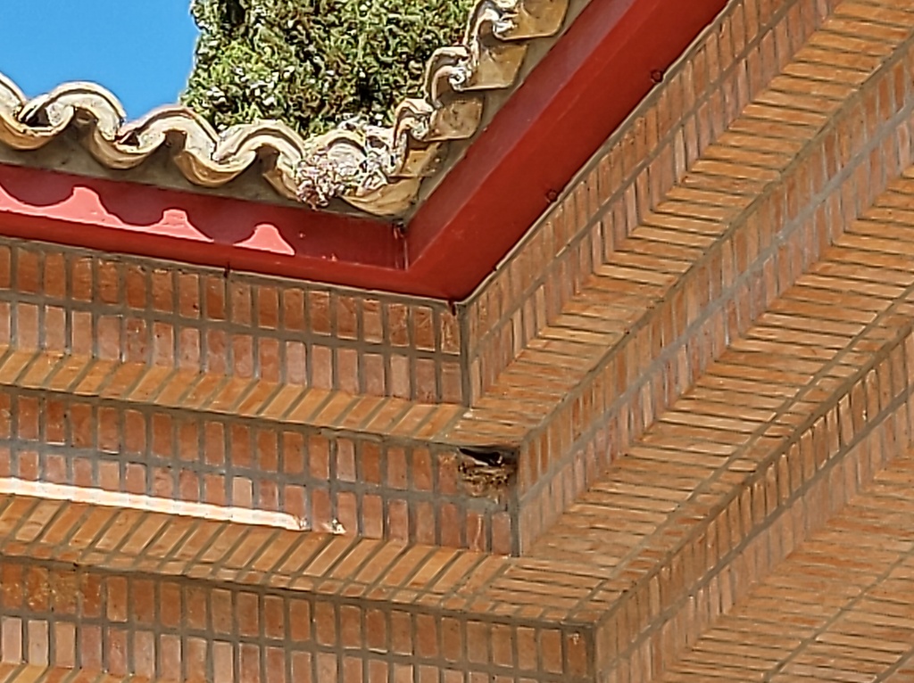 No s'ha trobat l'arxiu